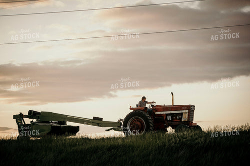 Farmer 2934