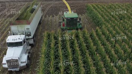 Chopping Corn Silage Drone 56321