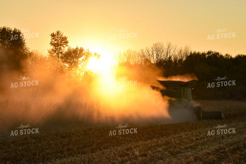 Corn Harvest 84152