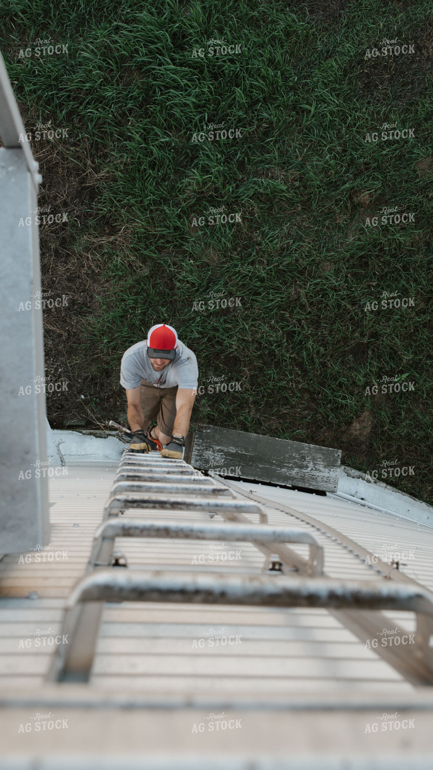 Farmer Climbing Bin 26103