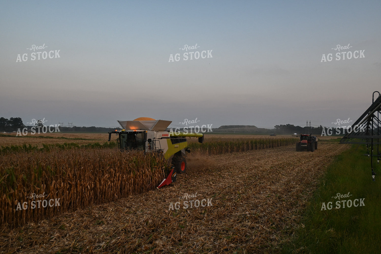 Corn Harvest 149020