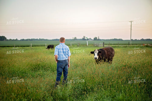 Farmer in Cattle Pasture 93237