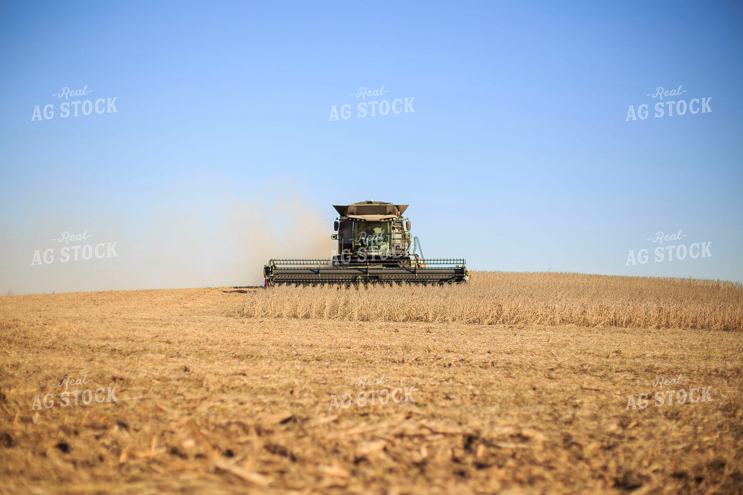 Soybean Harvest 93069