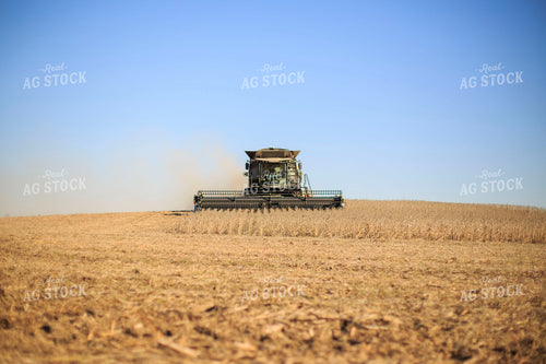 Soybean Harvest 93069