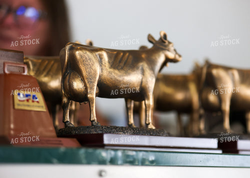 Cattle Trophy 160119