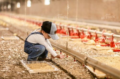 Farm Kid in Chicken Barn 280019