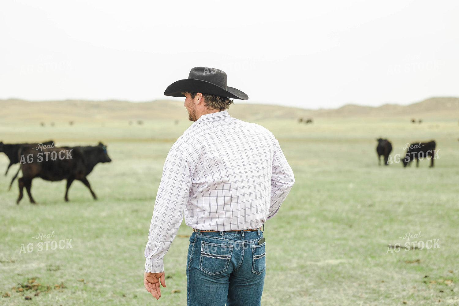 Rancher in Pasture with Cattle 114065