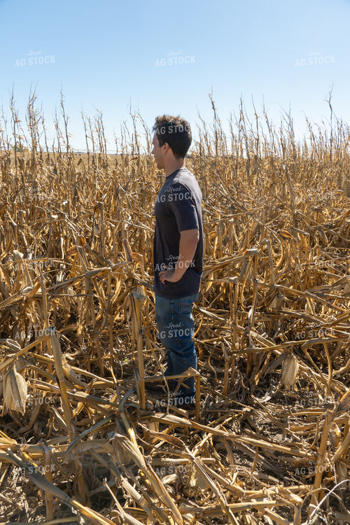 Farmer in Downed Corn 65124