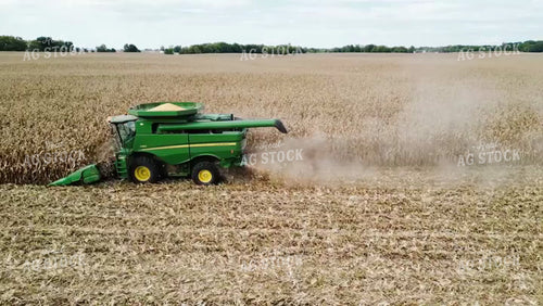 Corn Harvest 115198