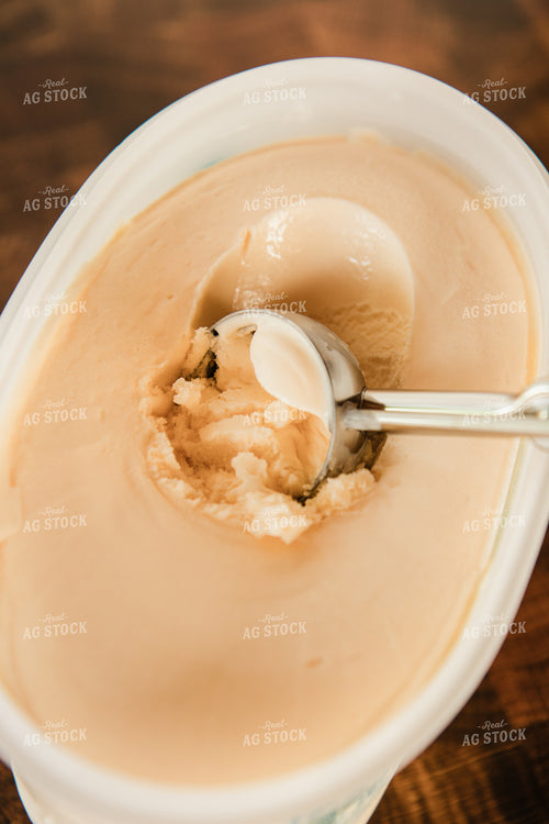 Ice Cream 67808