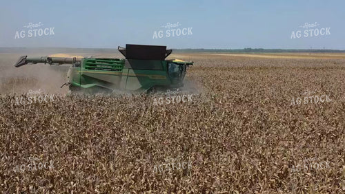 Corn Harvest 79515