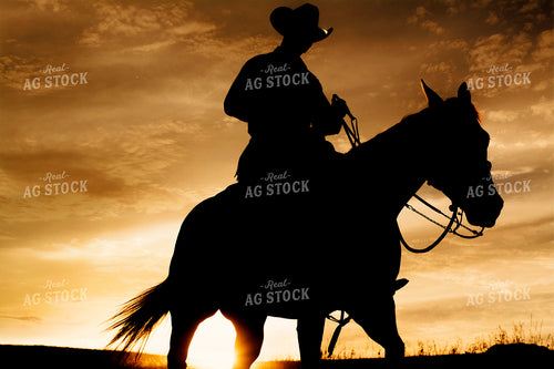 Rancher and Horse Silhouette 69024