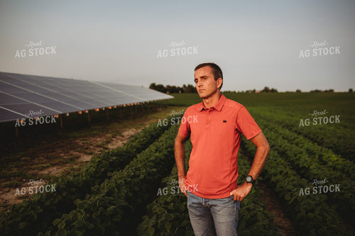 Farmer with Soybean Field and Solar Panels 4612