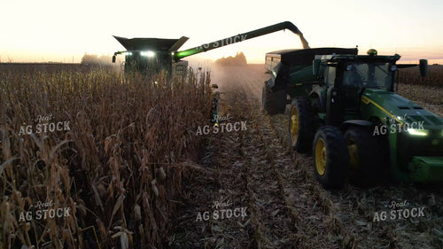 Corn Harvest 65917