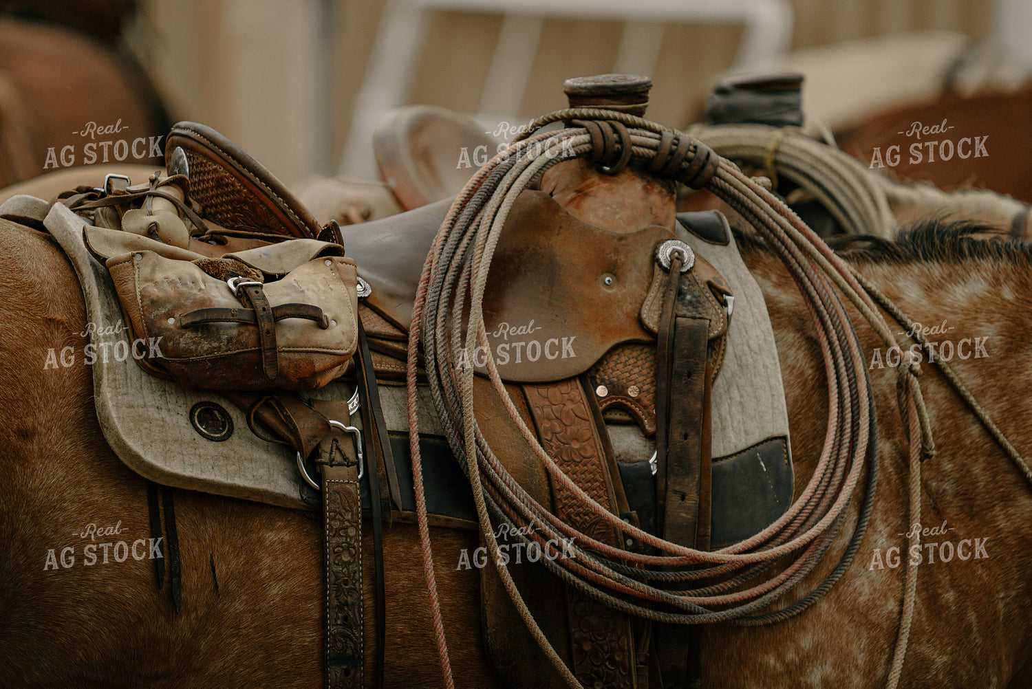 Saddled Up Horse 58358