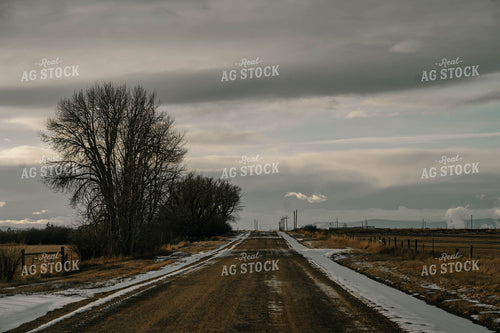 Snowy Backroads 58362
