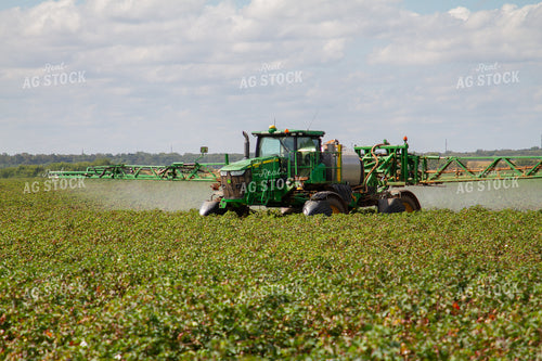 Spraying Cotton 79169