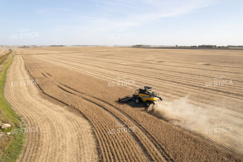 Soybean Harvest 255016