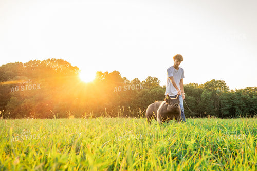 Farm Kid with Show Pig 270086