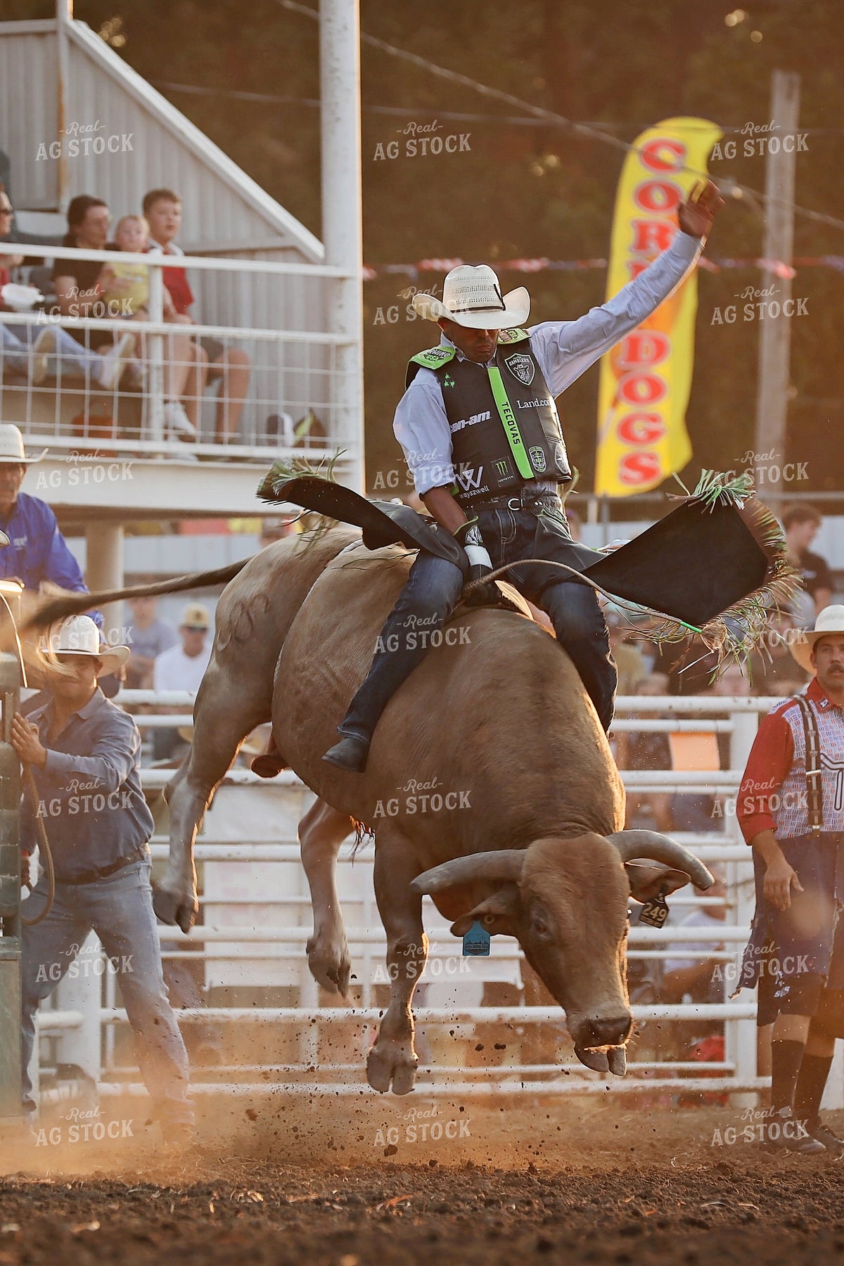 Rodeo 127120