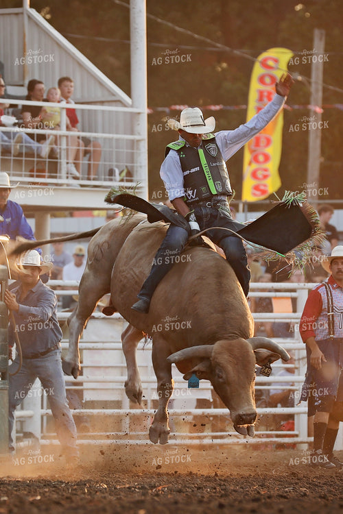 Rodeo 127120