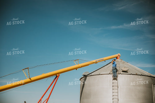 Auger Filling Grain Bin 7074