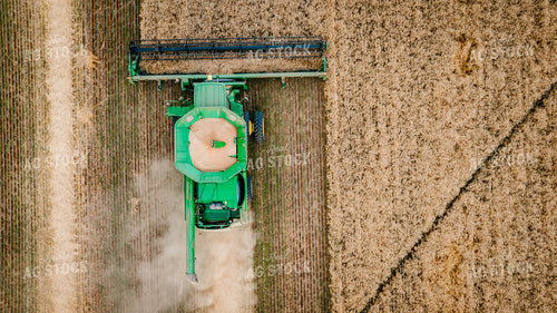 Wheat Harvest 56695