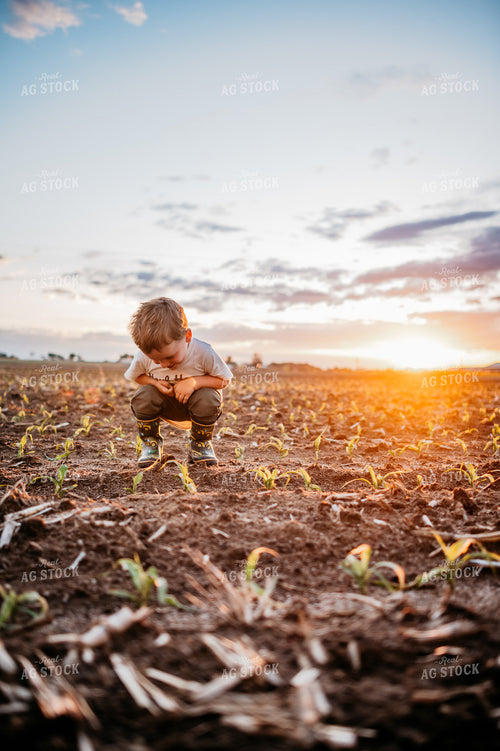 Farm Kids Playing in Early Growth Corn Field with Herbicide Injury 56668