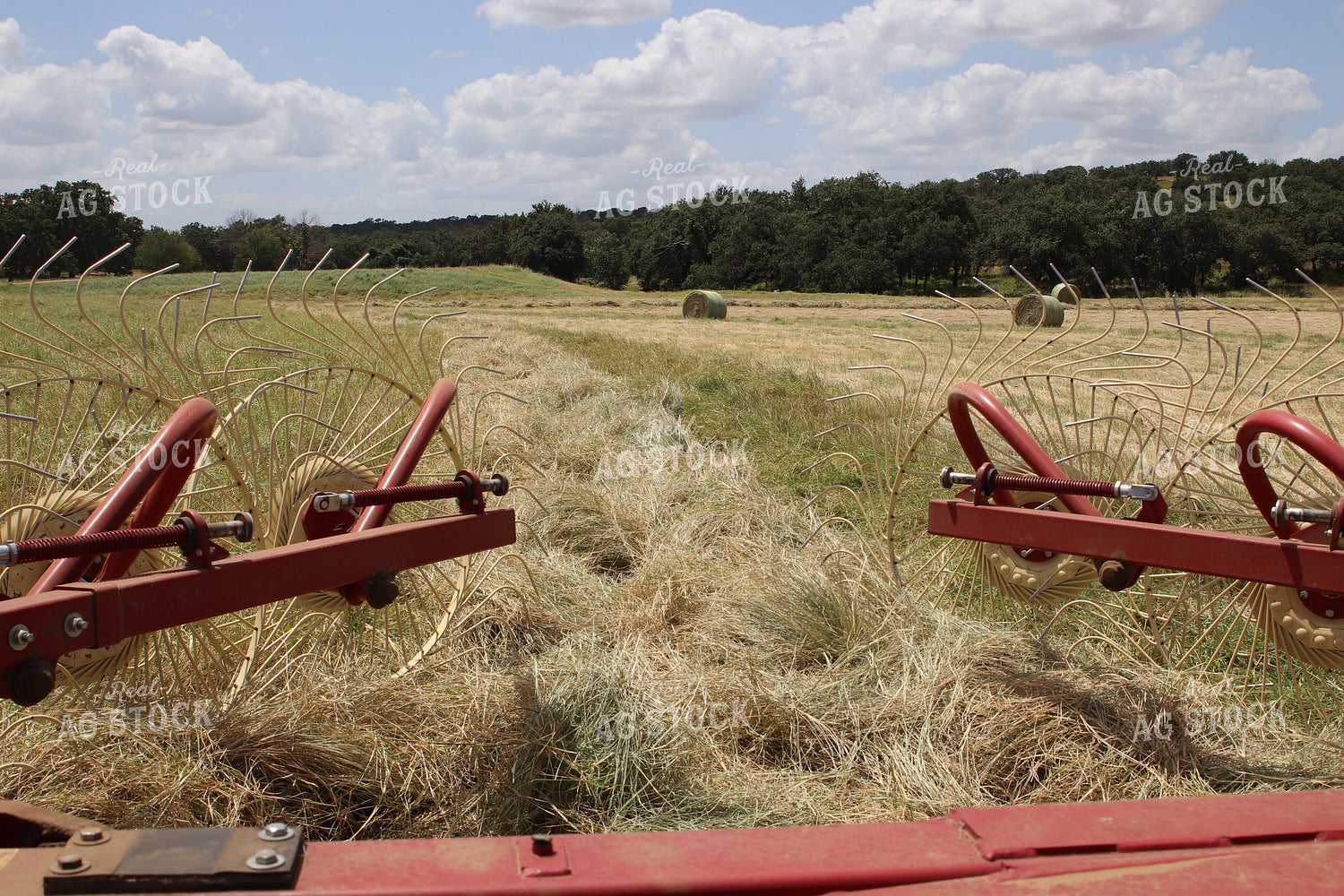Raking Hay 102096