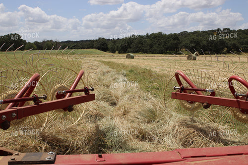 Raking Hay 102096