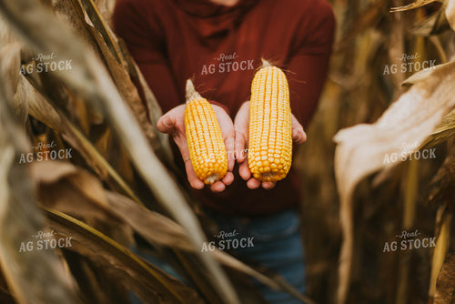 Female Farmer Checking Corn 8511