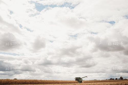 Combine Picking Corn under Cloudy Sky 3362