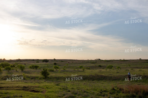 Female Rancher on Horseback 205031