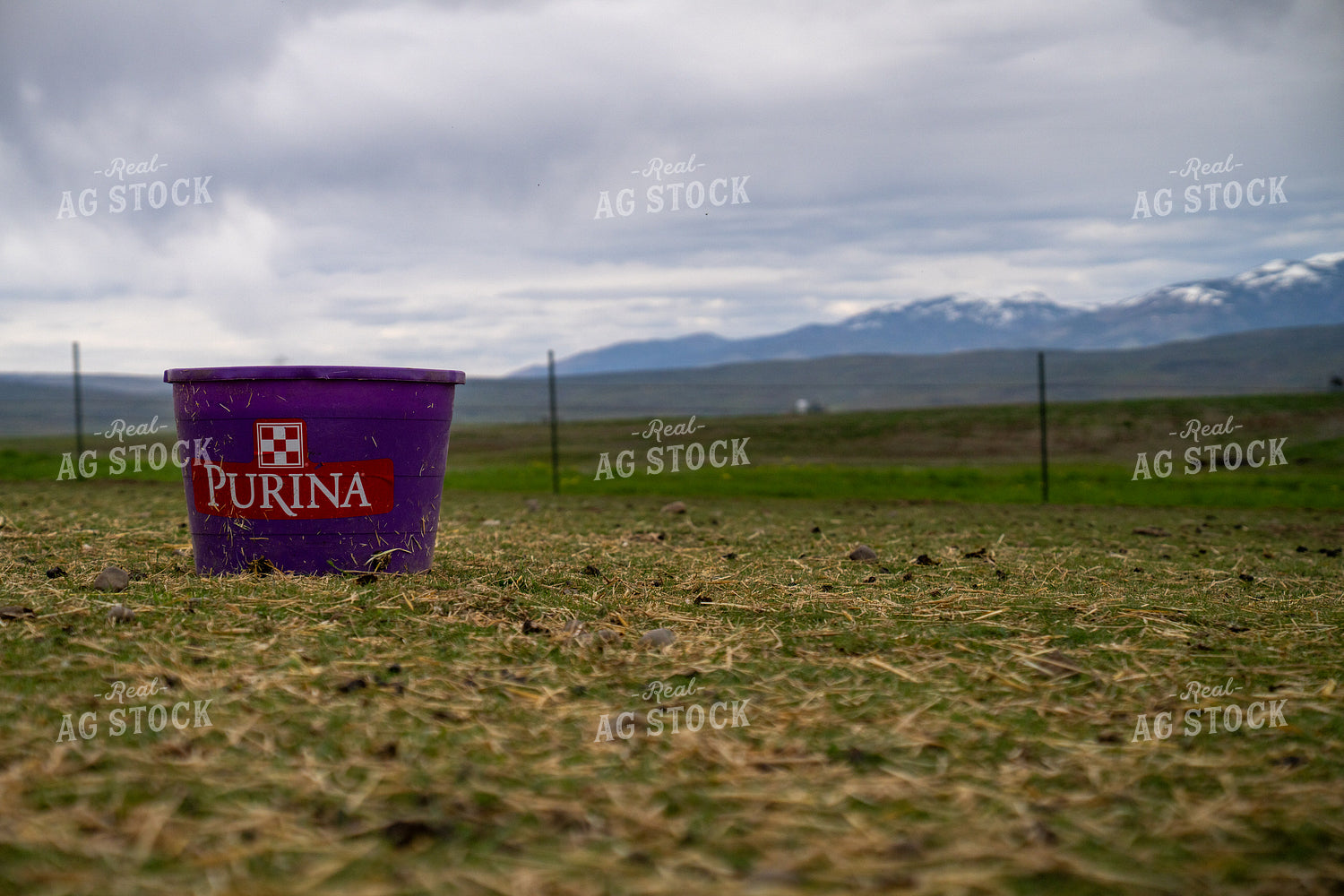 Purple Bucket on Open Field With Fence and Mountains in Background 65325