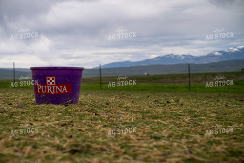 Purple Bucket on Open Field With Fence and Mountains in Background 65325