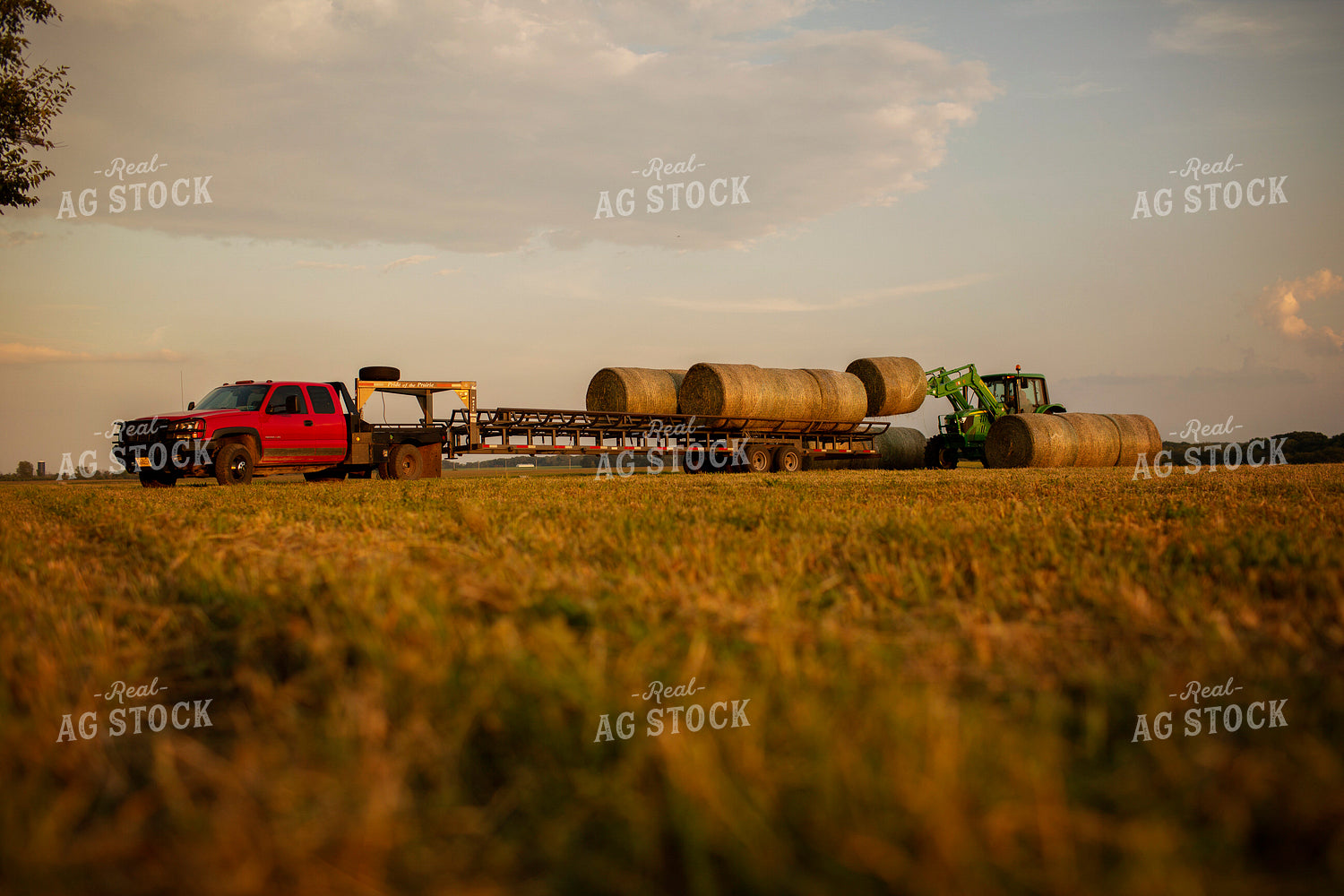 Tractor Loading Hay Bales onto Trailer 5526