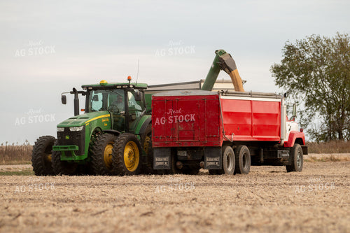 Soybean Harvest 157061