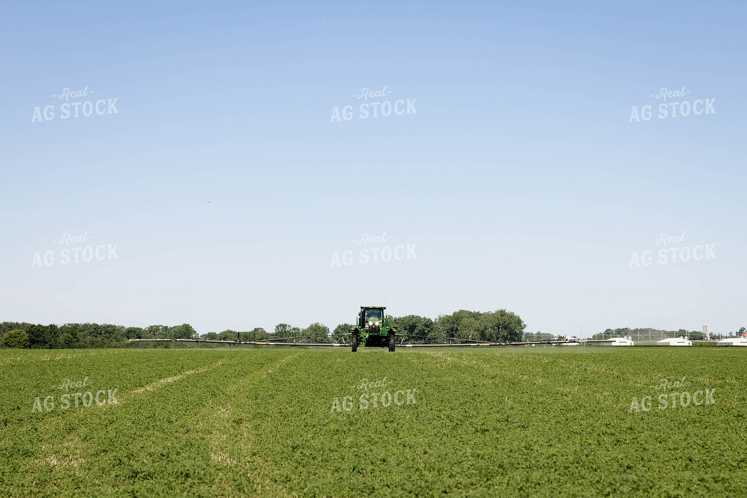 Spraying Alfalfa 152465