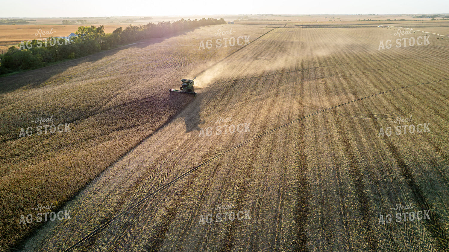 Aerial of Soybean Harvest 65971