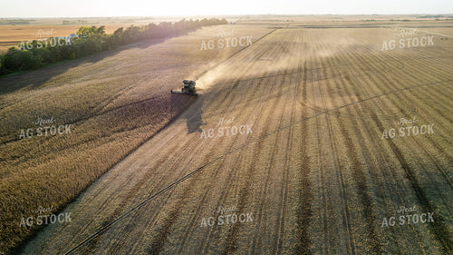 Aerial of Soybean Harvest 65971