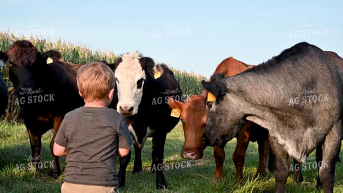 Farm Family in the Cattle Pasture - 363