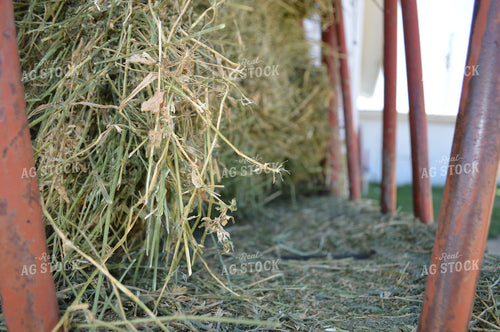 Hay in Wagon 206066