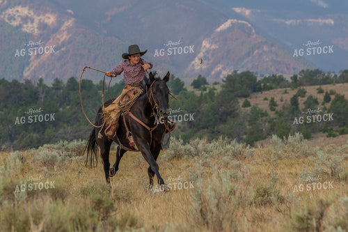 Young Cowboy Riding Horse 290058