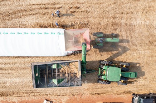 Soybean Harvest Flat Storage 79323