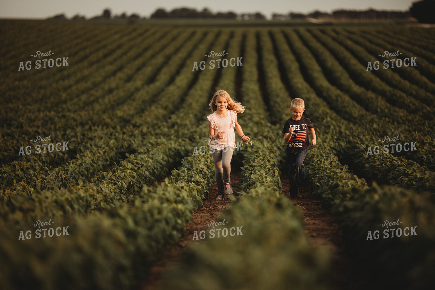 Farm Kids in Soybean Field 4569
