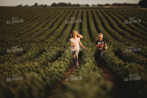 Farm Kids in Soybean Field 4569