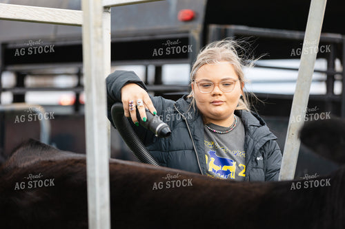Clipping Show Cow 52825