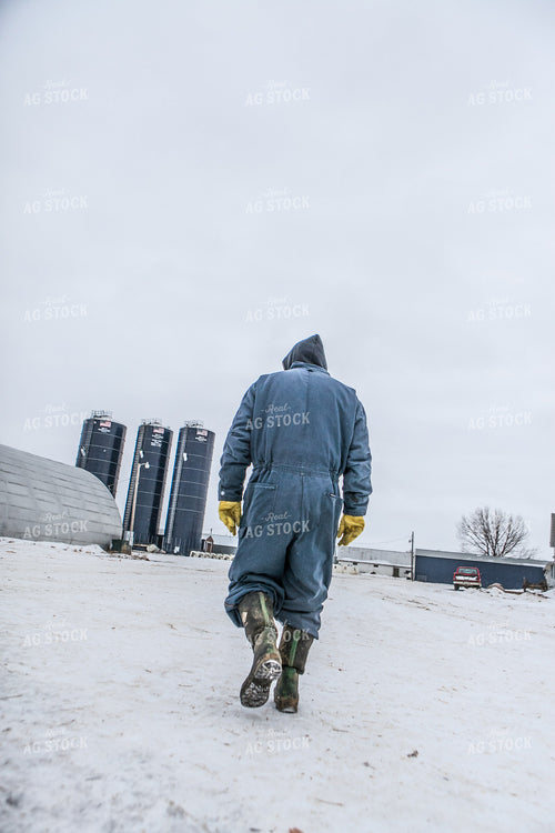Farmer Walking to Barn in Winter 250037