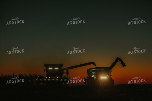 Family by Combine and Auger Cart at Sunset 5257