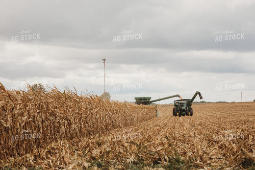 Combine Harvesting Corn and Unloading On the Go onto Auger Wagon 3332